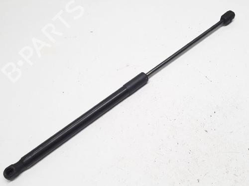 Used Tailgate lift support RENAULT MEGANE III Grandtour (KZ0/1) 1.5 dCi (KZ09, KZ0D, KZ1G, KZ29, KZ14, KZ1W, KZ10, KZ1F,... (110 hp) 13152792
