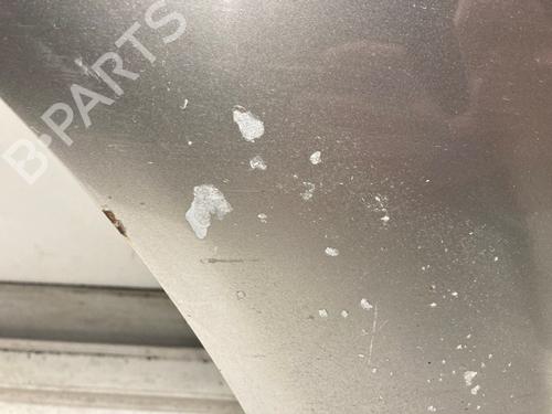 Right rear door NISSAN X-TRAIL I (T30) 2.2 dCi 4x4 | BP18845767C5 