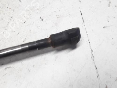 Tailgate lift support BMW 1 (E87) 118 d | BP13153226C138