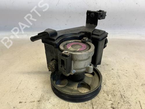 steering-pump-peugeot-206-2l_-2m_-2009-2010-2011-2012-2013-36308801 main image