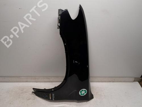 Left front fenders BMW X5 (E53) 3.0 d | BP24016743C41 