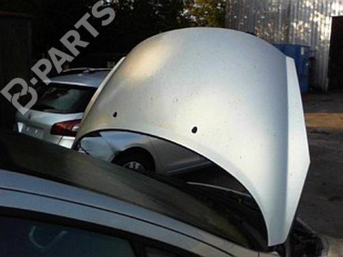 hood-peugeot-207-wa_-wc_-14-16v-2006-2007-2008-2009-2010-2011-2012-2013-2014-2015-11071549 main image