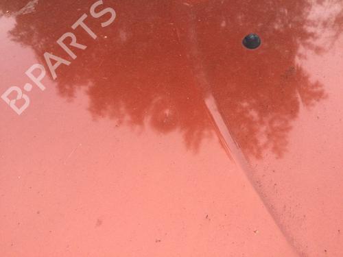 Hood DACIA SANDERO 1.5 dCi | BP29817280C1 