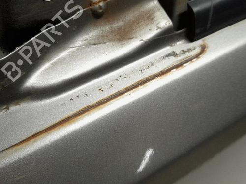Left front door NISSAN X-TRAIL I (T30) 2.2 dCi 4x4 | BP18846556C2 