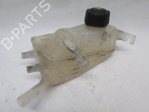 Used Expansion tank RENAULT MEGANE III Coupe (DZ0/1_) 1.5 dCi (DZ0C, DZ1A) (90 hp) 11065787