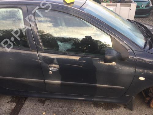 Used Right front door PEUGEOT 206+ (2L_, 2M_) 1.1 (60 hp) 30378613