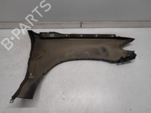 Left front fenders BMW X5 (E53) 3.0 d | BP24016743C41 