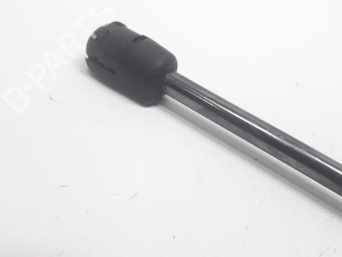 Tailgate lift support KIA PICANTO II (TA) 1.0 | BP13153456C138 