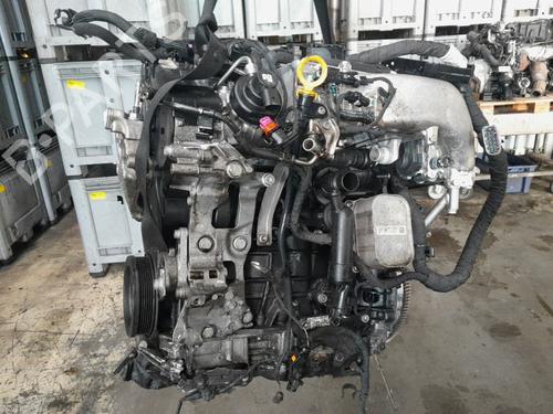 Motore SKODA OCTAVIA IV Combi (NX5, PV5) 2.0 TDi (116 hp) 31150792