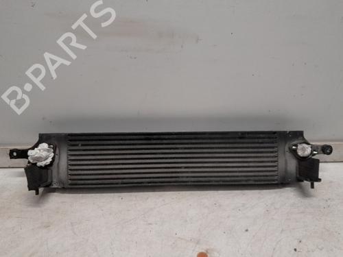Intercooler RENAULT KOLEOS I (HY_) 2.0 dCi 4x4 (HY0K) | BP35988221M30 - Image 2