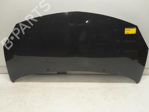 Used Hood RENAULT TWINGO II (CN0_) 1.2 16V (CN04, CN0B) (75 hp) 30160105
