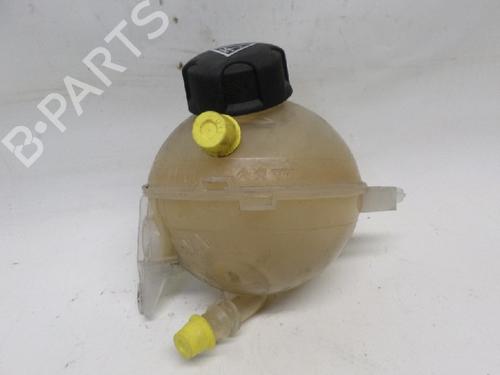 Used Expansion tank CITROËN DS5 2.0 HDi 165 (163 hp) 11065700