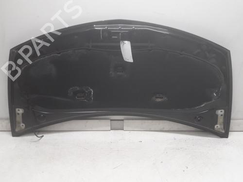 Hood RENAULT CLIO III (BR0/1, CR0/1) 1.4 16V | BP11076675C1 