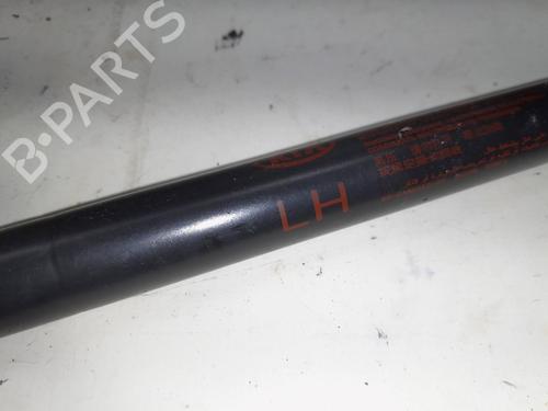 Tailgate lift support KIA PICANTO II (TA) 1.0 | BP13155266C138 