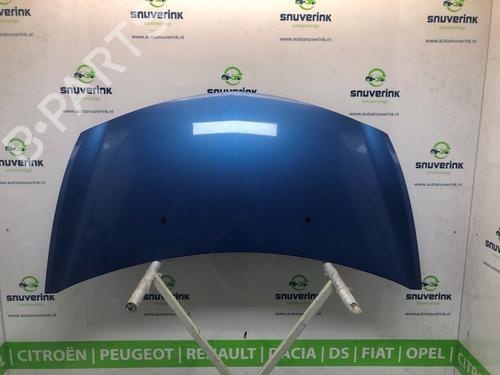 Used Hood RENAULT CLIO III (BR0/1, CR0/1) 1.4 16V (98 hp) 17223827