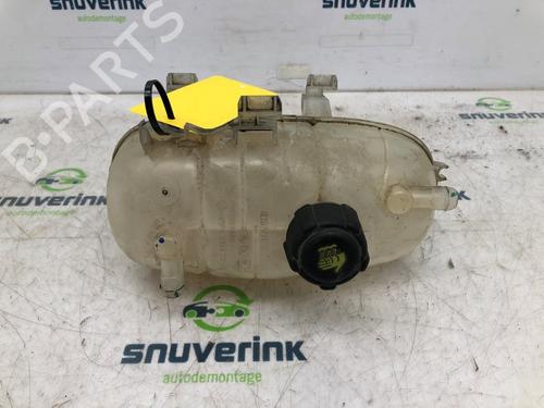 Expansion tank RENAULT TRAFIC III Van (FG_) 1.6 dCi 145 (FGMG) | BP18312006C120 