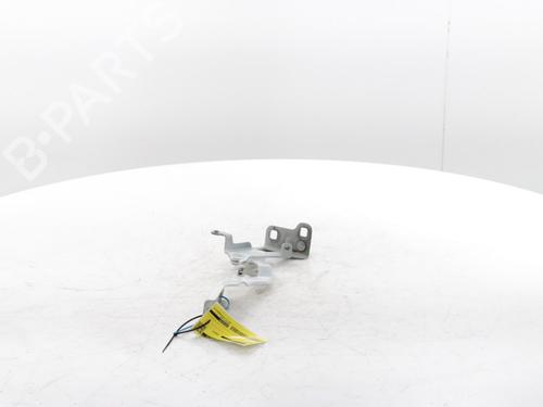 Hinge/Door check strap RENAULT TRAFIC III Van (FG_) 2.0 dCi 120 (FGMN) | BP29426848C146 