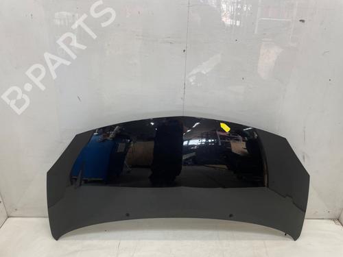 hood-renault-twingo-ii-cn0_-2007-28288649 main image