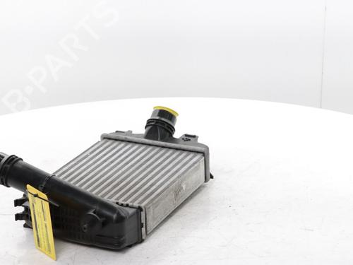 Intercooler RENAULT CLIO V (B7_) 1.0 TCe 100 (B7MT) | BP29899578M30 