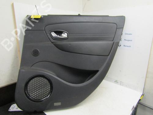 Used Rear right panel RENAULT SCÉNIC III (JZ0/1_) 1.4 16V (JZ0F, JZ1V) (131 hp) 24162520