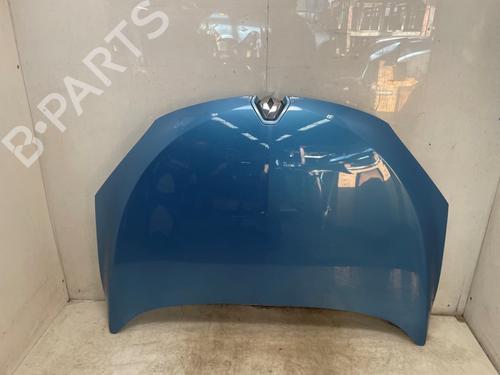 hood-renault-megane-iii-hatchback-bz01_-b3_-2008-34563379 main image