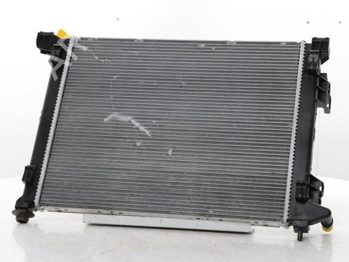 Radiateur à eau RENAULT 5 E-Tech 150 (150 hp) 31961016