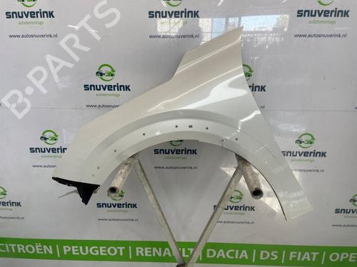 Used Left front fenders PEUGEOT 208 II (UB_, UP_, UW_, UJ_) e-208 (136 hp) 26202565