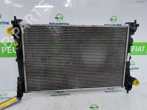 water-radiator-fiat-doblo-cargo-263_-2010-23123033 main image