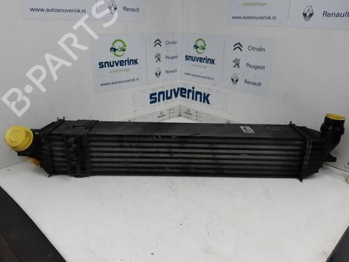 Used Intercooler RENAULT LAGUNA III Grandtour (KT0/1) 2.0 dCi (KT0M, KT0N, KT0S, KT19, KT1F) (173 hp) 10799106