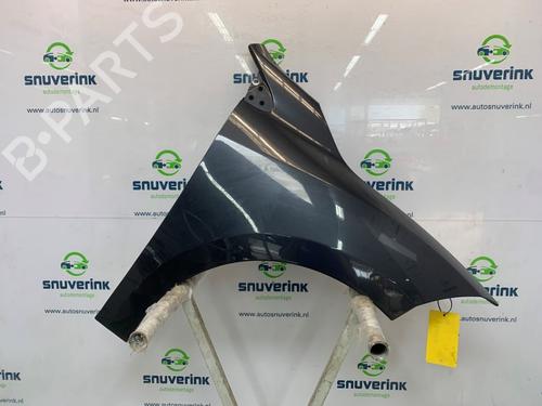 Used Left front fenders RENAULT MEGANE III Grandtour (KZ0/1) 1.5 dCi (KZ09, KZ0D, KZ1G, KZ29, KZ14, KZ1W, KZ10, KZ1F,... (110 hp) 26665660