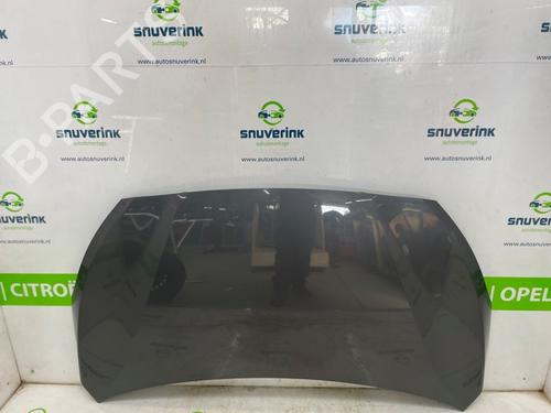 Used Hood HYUNDAI i20 I (PB, PBT) 1.4 (101 hp) 26488679