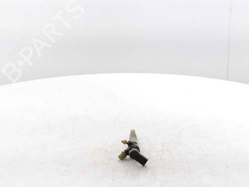 Injector RENAULT MEGANE IV Grandtour (K9A/M/N_) 1.5 dCi 110 | BP29426996M100