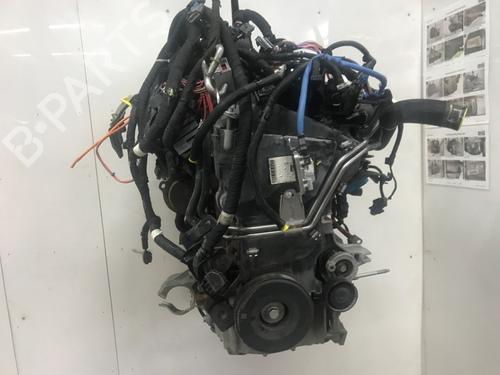 Engine RENAULT KANGOO III MPV Blue dCi 75 (KJAA) | BP33813721M1  - Image 5