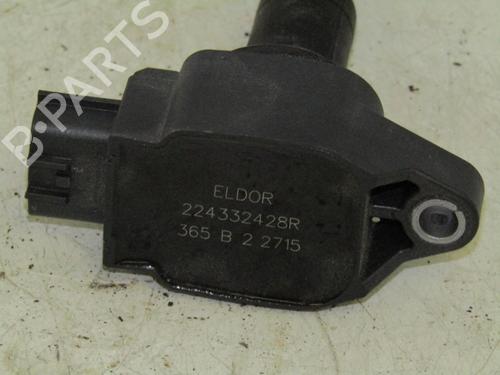 Ignition coil RENAULT TWINGO III (BCM_, BCA_) 1.0 SCe 70 | BP10789502M94 