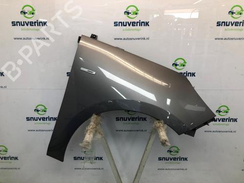 Right front fenders RENAULT SCÉNIC III (JZ0/1_) 1.2 TCe | BP24988620C42 
