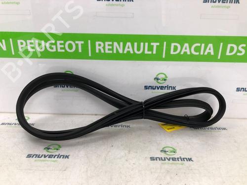 Rubber door seal RENAULT ARKANA I (LCM_, LDN_) 1.3 TCe 160 (LDN1) | BP20499463C142 