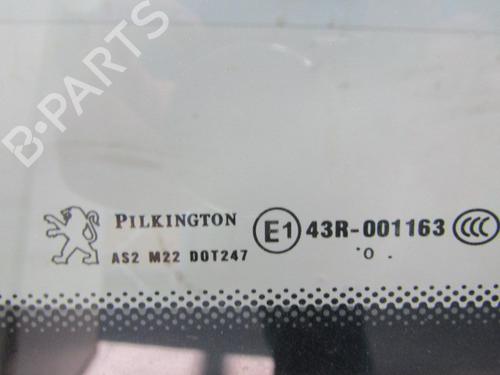 Left front door PEUGEOT 207 (WA_, WC_) 1.6 16V Turbo | BP16911793C2 