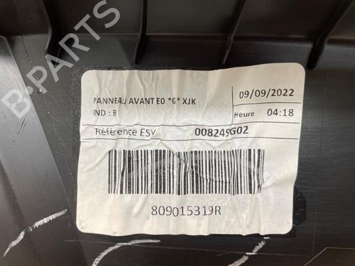 Front left panel RENAULT EXPRESS Box Body/MPV 1.5 Blue dCi 95 (F6AB) | BP33696977C58 - Image 6