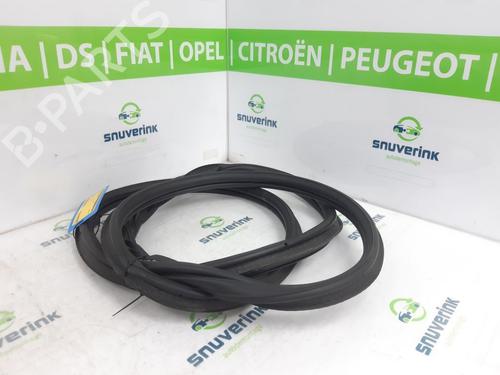 Rubber door seal PEUGEOT 2008 II (UD_, US_, UY_, UJ_, UR_, UC_) 1.2 PureTech 130 (USHNS, URHNS) | BP21193993C142