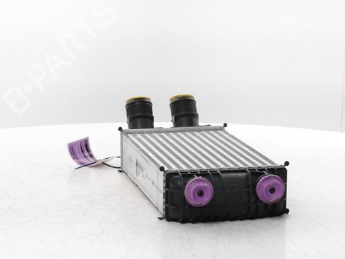 Intercooler FIAT GRANDE PANDA (328) 1.2 Mild Hybrid (325) | BP33845939M30 - Image 3