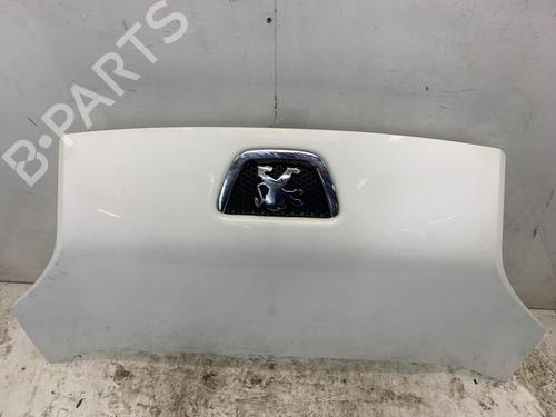 Hood PEUGEOT BIPPER (AA_) 1.3 HDi 75 | BP30186408C1
