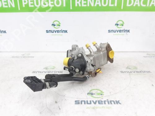 Egr RENAULT AUSTRAL E-TECH 200 Hybrid (HGM2) | BP24841090M69 