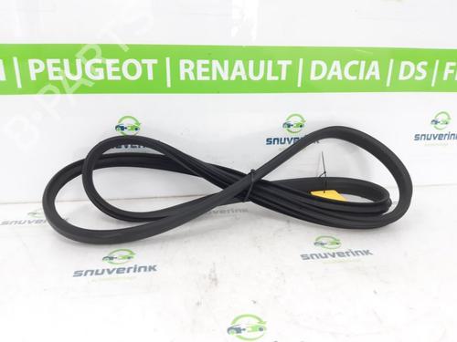 Used Rubber door seal RENAULT ARKANA I (LCM_, LDN_) 1.6 E-TECH 145 (LDMU) (143 hp) 18661935