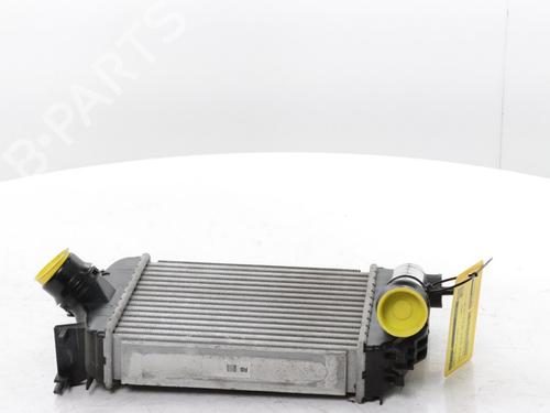 Intercooler RENAULT CLIO V (B7_) 1.0 TCe 100 (B7MT) | BP29899578M30 