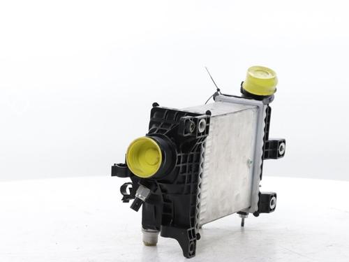 Intercooler FIAT DUCATO Van (250_) 120 Multijet 2,2 D | BP30758456M30 