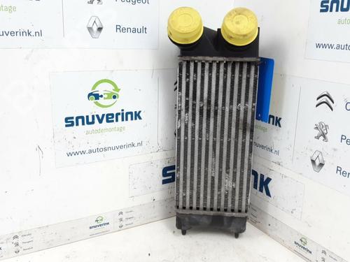 Used Intercooler Intercooler PEUGEOT 308 I (4A_, 4C_) 1.6 16V (150 hp) 10800569 10800569