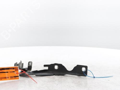 hingedoor-check-strap-citroen-c3-iii-sx-2016-34564260 main image