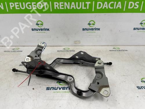 Used Hinge/Door check strap RENAULT SCÉNIC IV (J9_) 1.3 TCe 115 (J9N9) (115 hp) 26238493