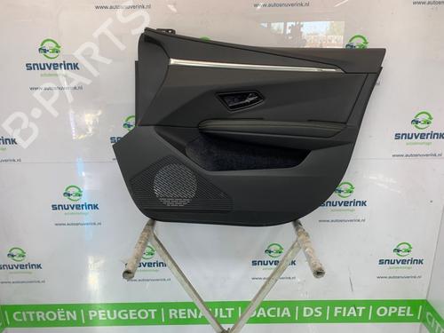 bekleding-voor-rechts-renault-scenic-e-tech-phase-i-2023-27351146 main image