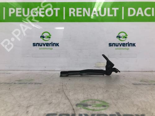 hingedoor-check-strap-citroen-c3-ii-sc_-2009-23122832 main image